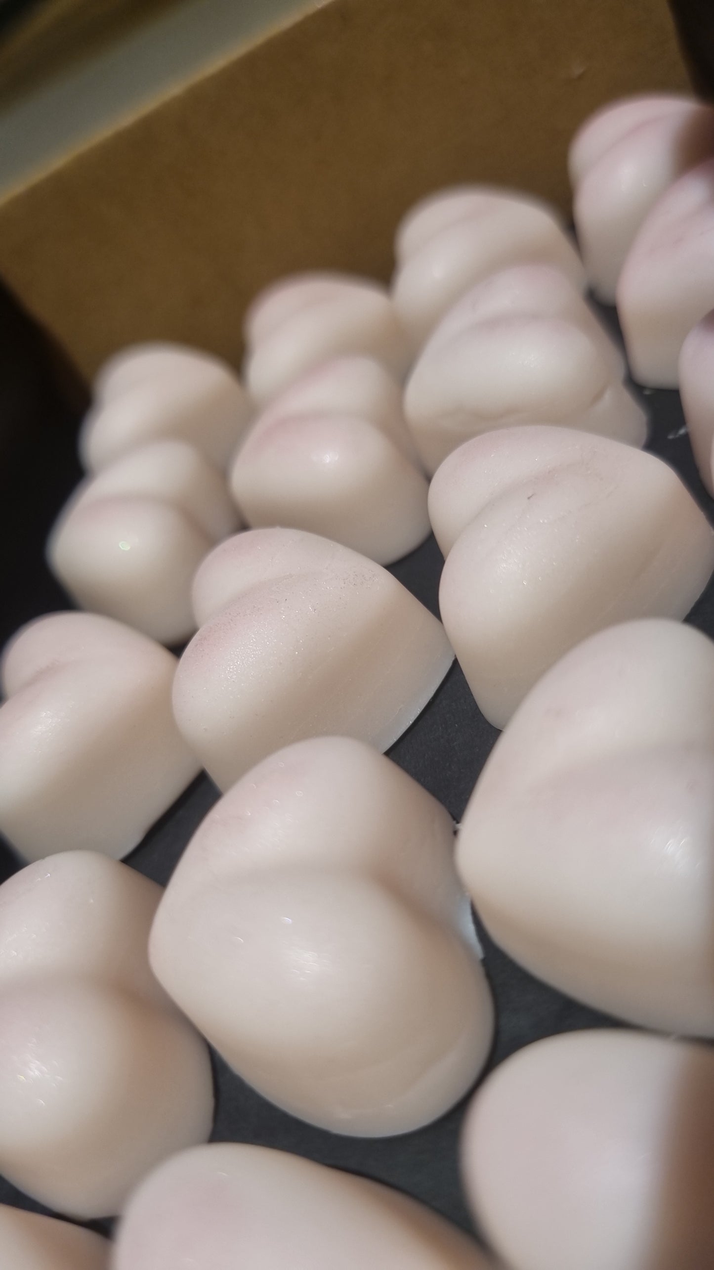 Sparkling Grapefruit Wax Melts